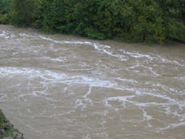 foto piena Fiume Lamone